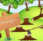 Affouage